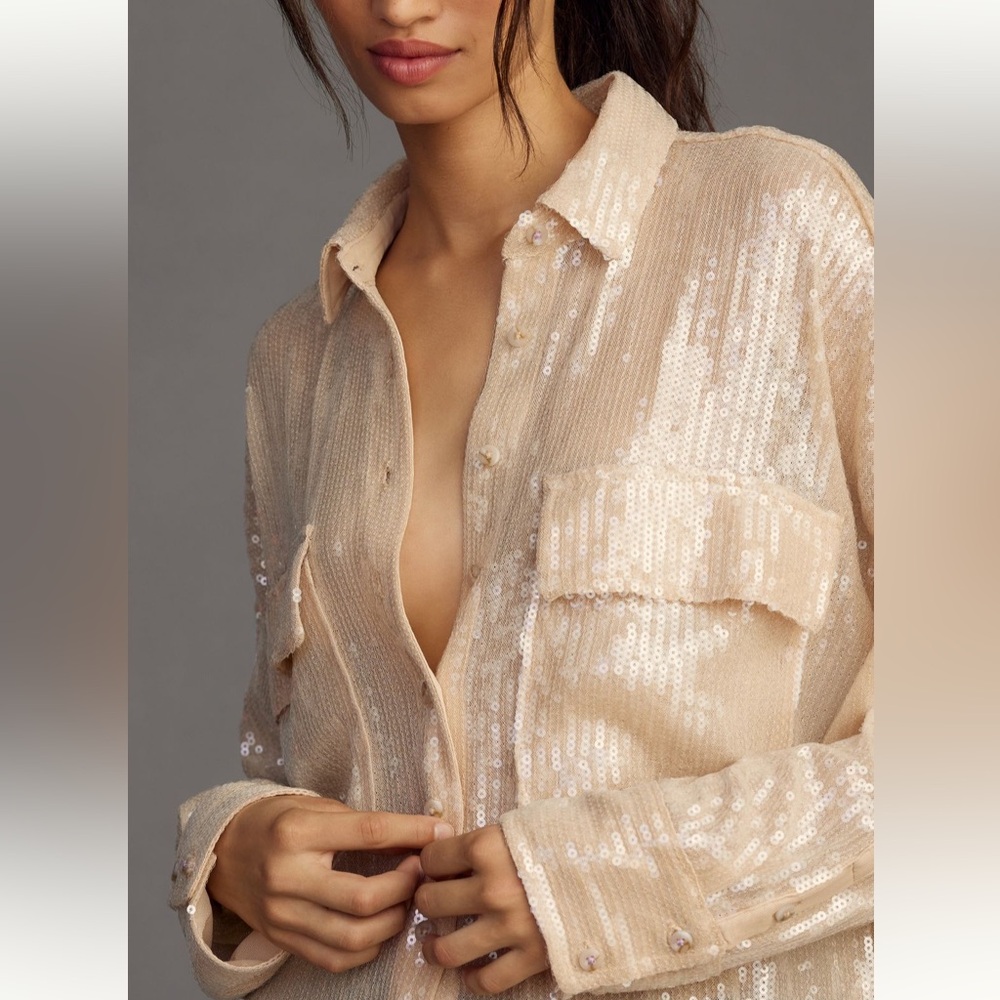 Pilcro sheer long sleeve sequin shirt